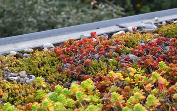 the cost of Kelsale green roof installation