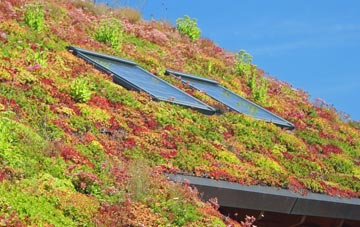 Kelsale living roof systems