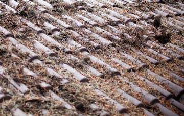 Kelsale roof cleaning companies