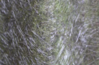 Kelsale fibreglass roof work